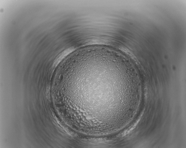 X0000060761121200511171141