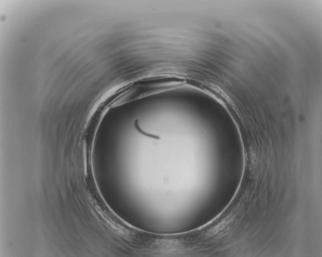 X0000060761123200511171141