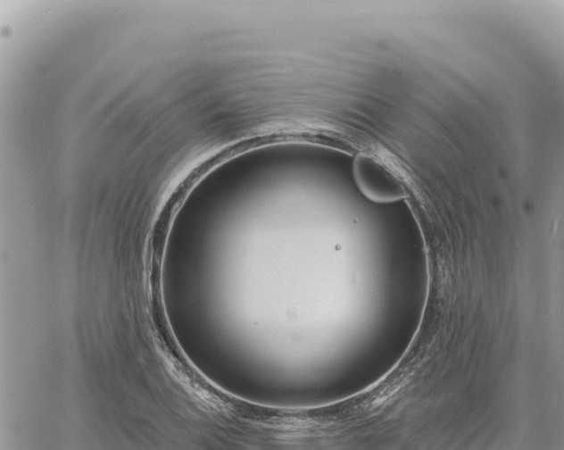 X0000060761124200511171141