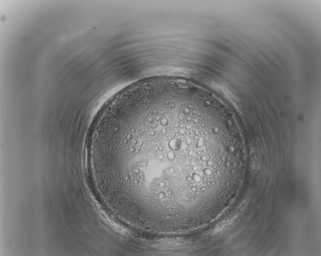 X0000060761125200511171141