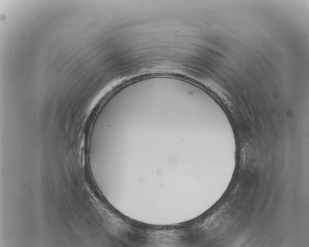 X0000060761126200511171141