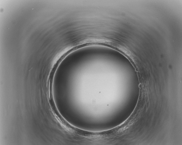 X0000060761127200511171141