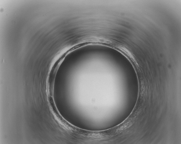 X0000060761128200511171141