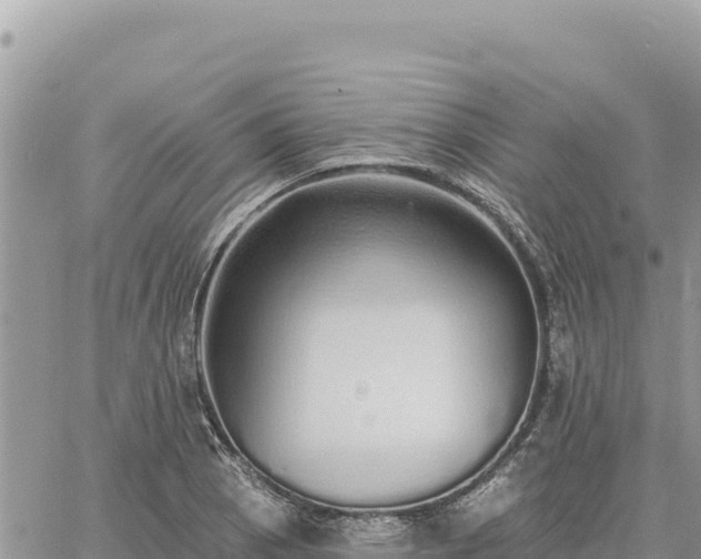 X0000060761129200511171141