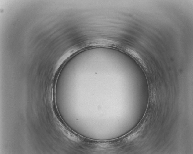 X0000060761130200511171141