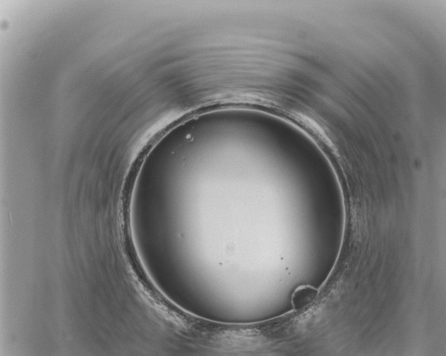 X0000060761133200511171141