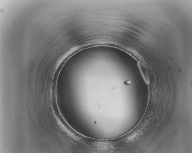 X0000060761134200511171141