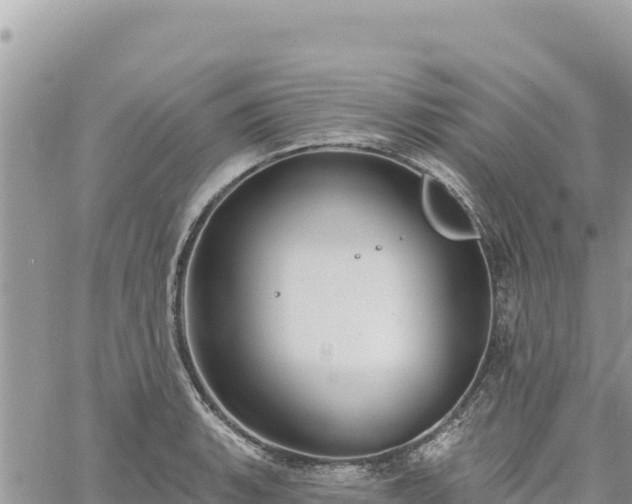 X0000060761135200511171141