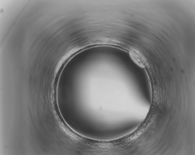 X0000060761136200511171141