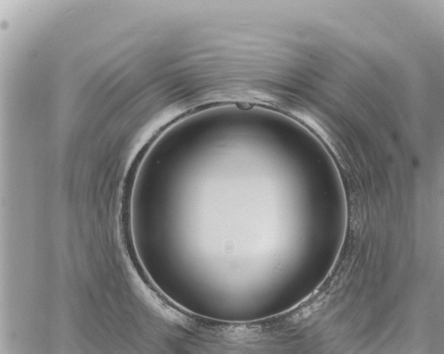 X0000060761139200511171141