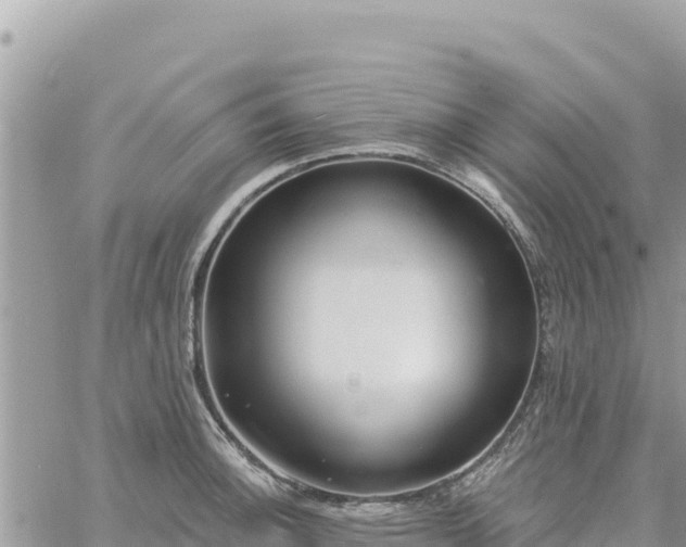 X0000060761140200511171141