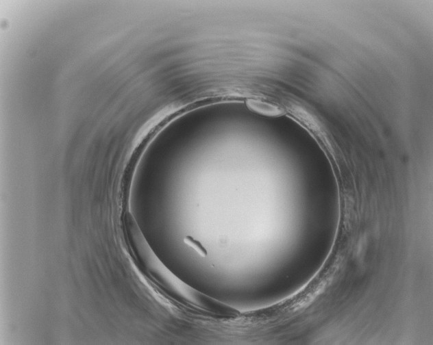 X0000060761141200511171141