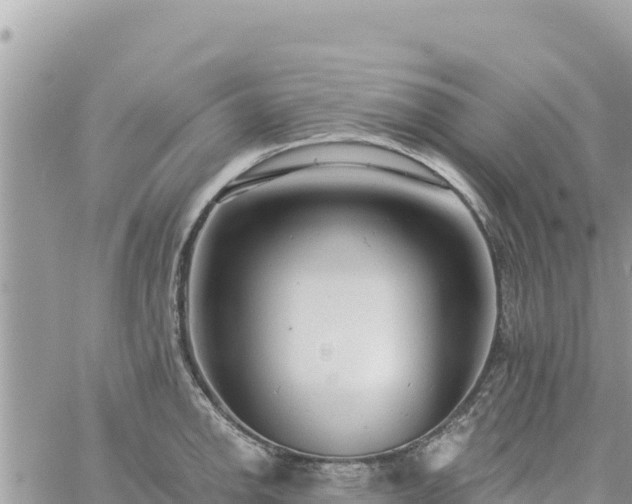 X0000060761142200511171141