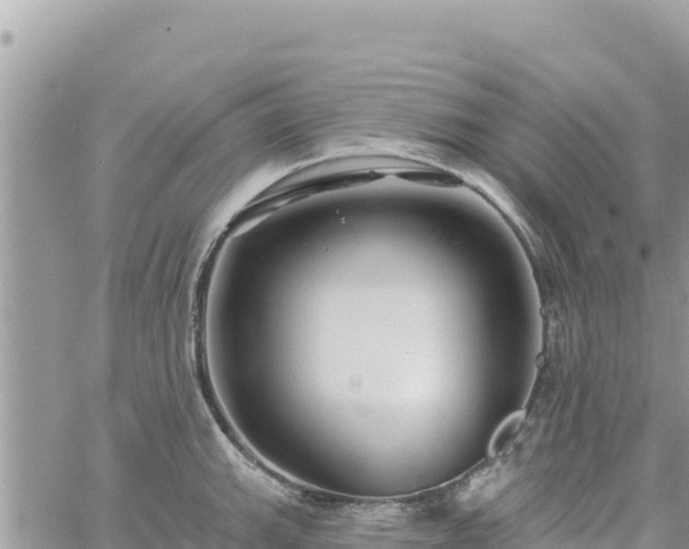 X0000060761143200511171141