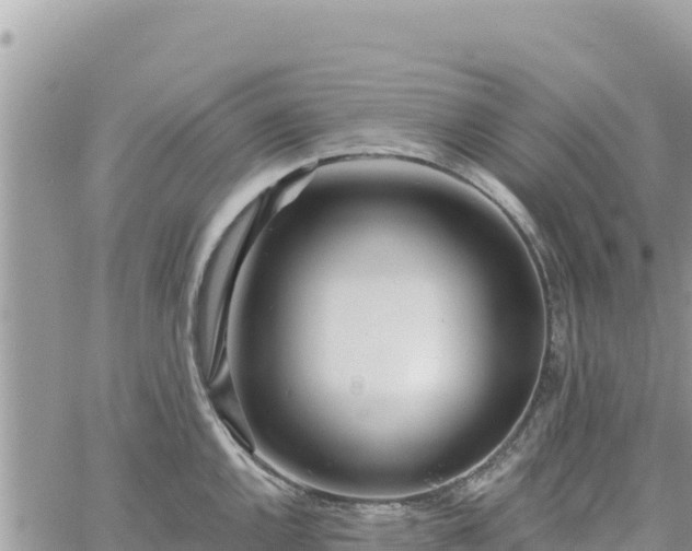 X0000060761144200511171141