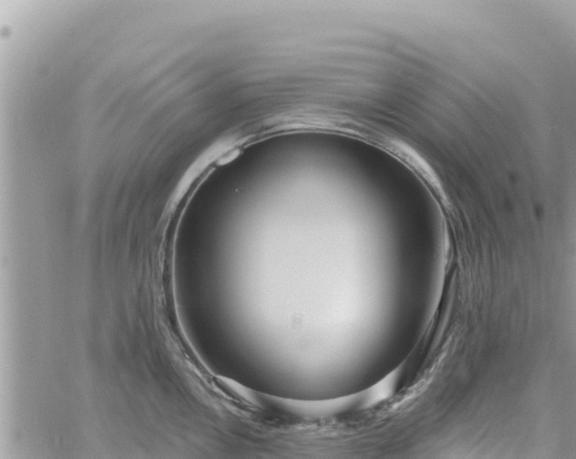 X0000060761146200511171141