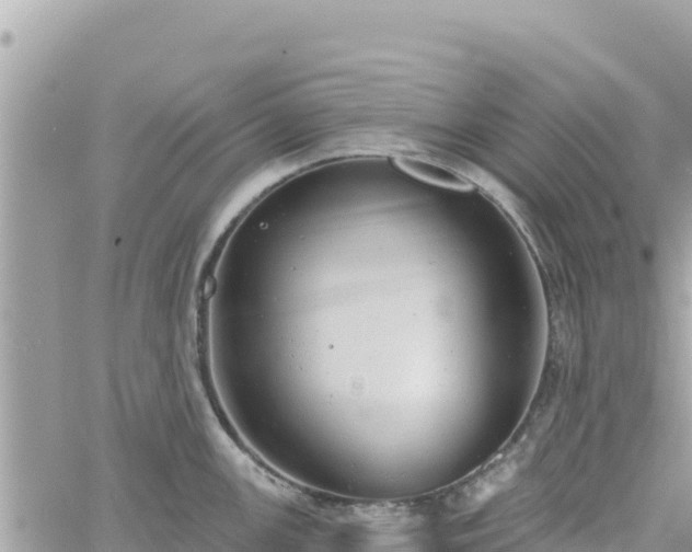 X0000060761147200511171141