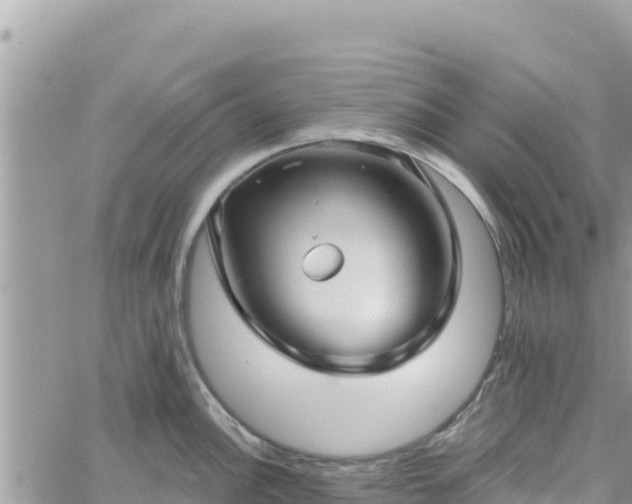 X0000060761148200511171141