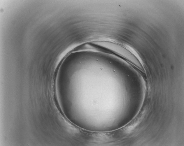 X0000060761149200511171141