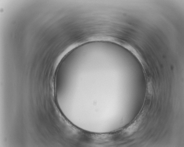 X0000060761150200511171141