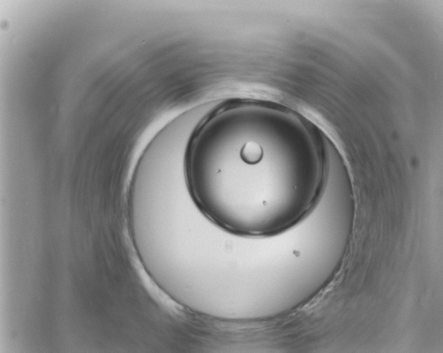 X0000060761152200511171141