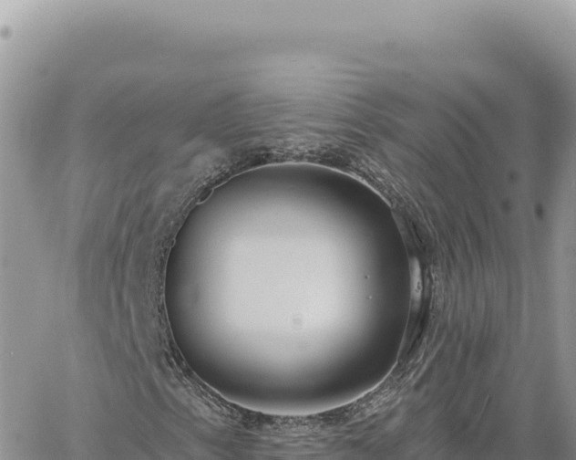 X0000060761153200511171141