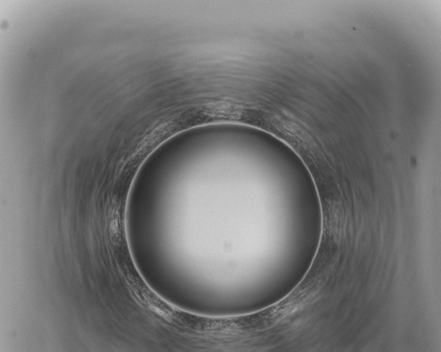 X0000060761154200511171141