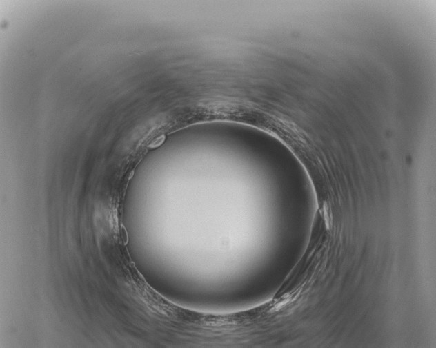 X0000060761155200511171141