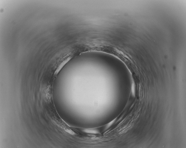 X0000060761156200511171141