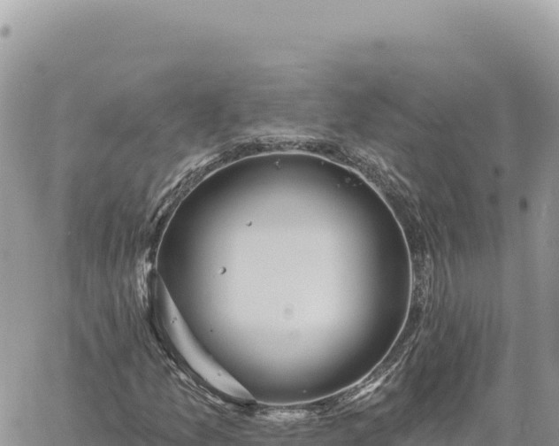 X0000060761157200511171141