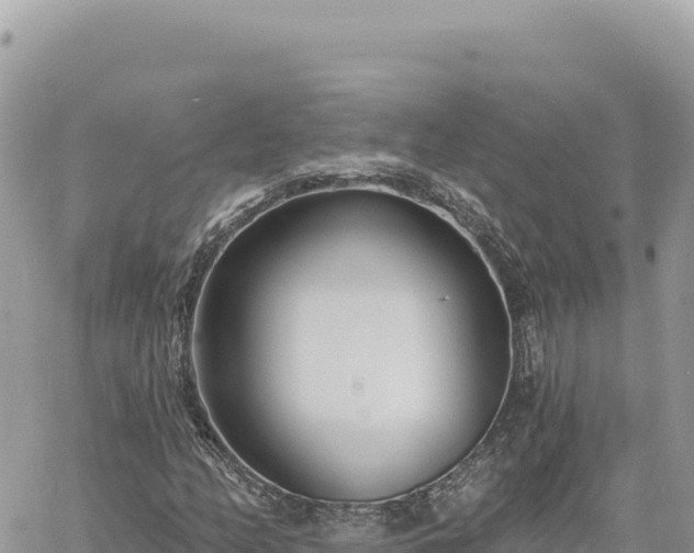 X0000060761158200511171141