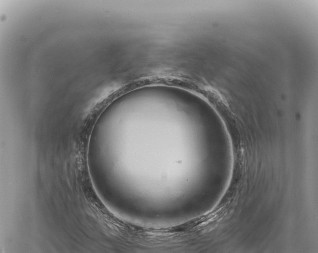 X0000060761159200511171140