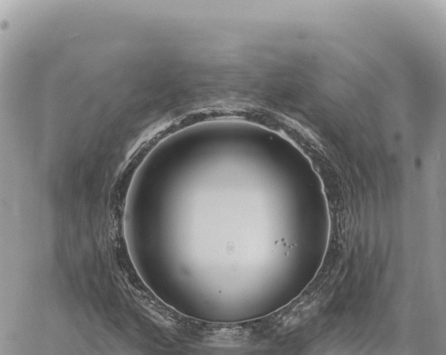 X0000060761160200511171140