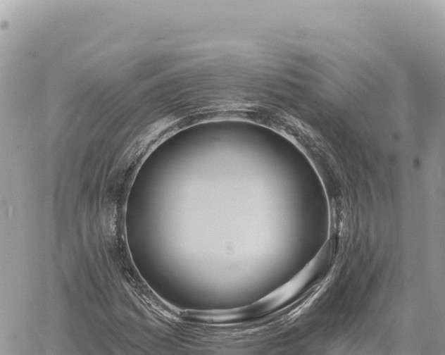 X0000060761161200511171140