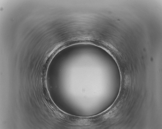 X0000060761162200511171140