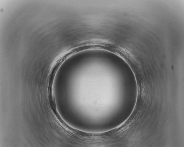 X0000060761164200511171140