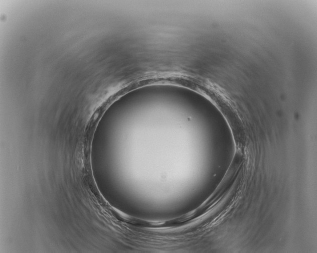 X0000060761165200511171140