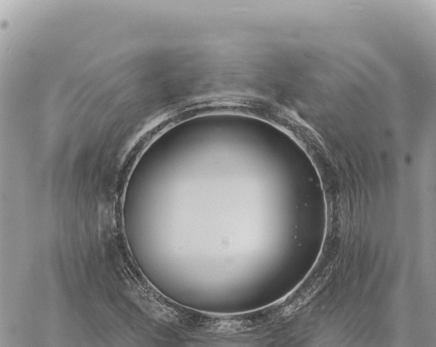 X0000060761166200511171140