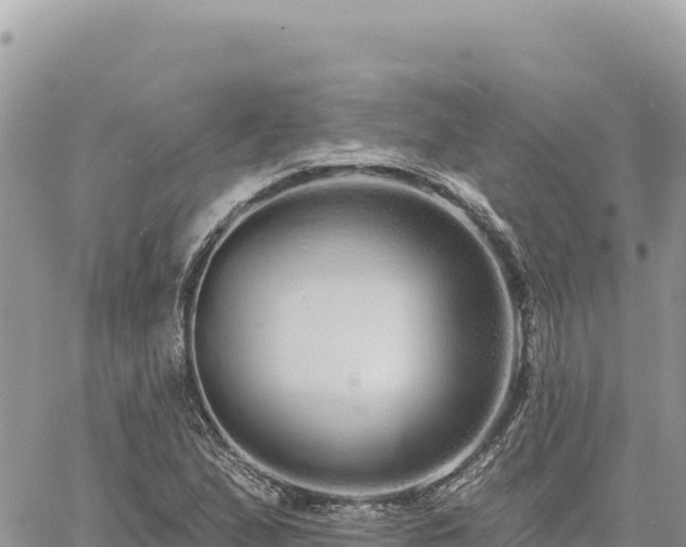 X0000060761167200511171140