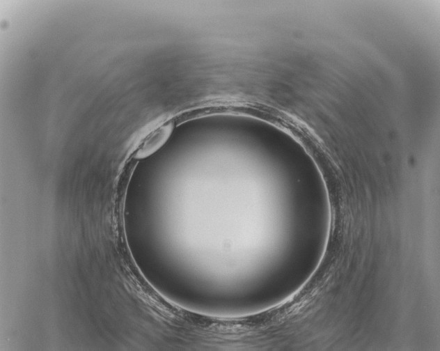 X0000060761168200511171140