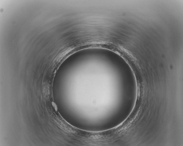 X0000060761169200511171140