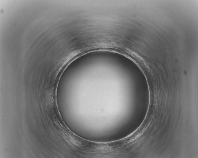 X0000060761170200511171140