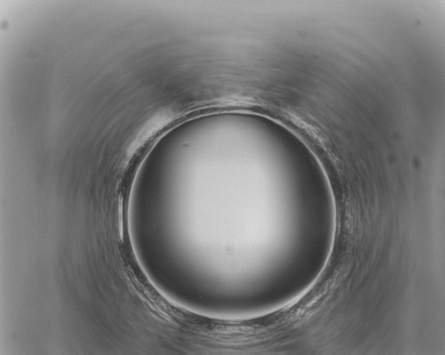 X0000060761171200511171140