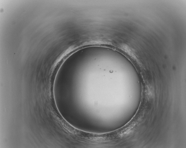 X0000060761173200511171140