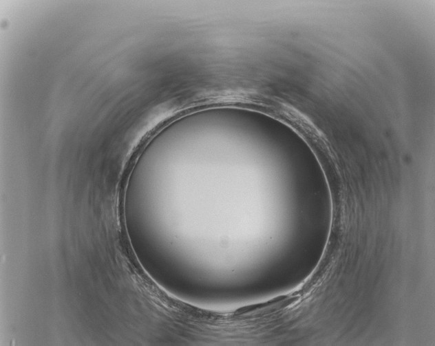 X0000060761174200511171140