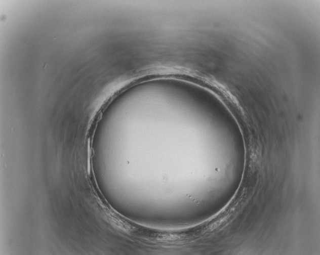 X0000060761175200511171140