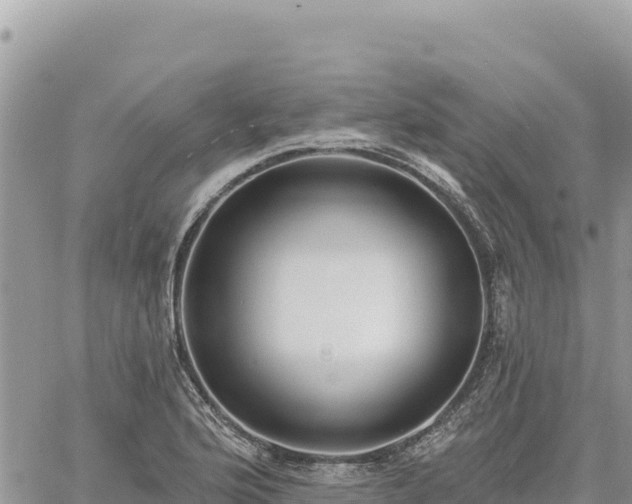 X0000060761176200511171140