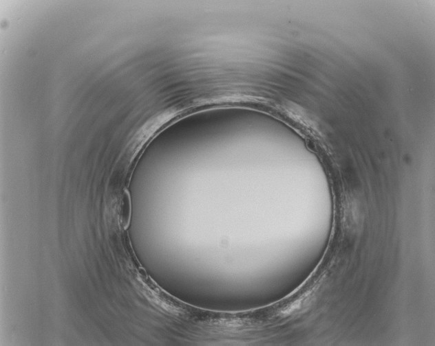 X0000060761177200511171140