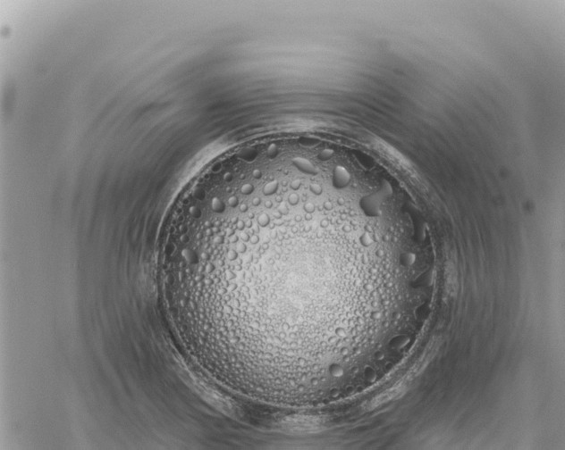 X0000060761178200511171140