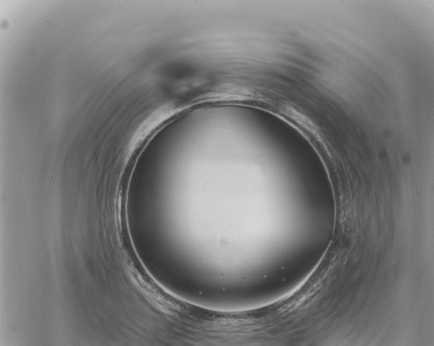 X0000060761179200511171140